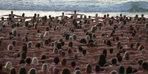 Thousands of people stripped naked and showed off their bodies!