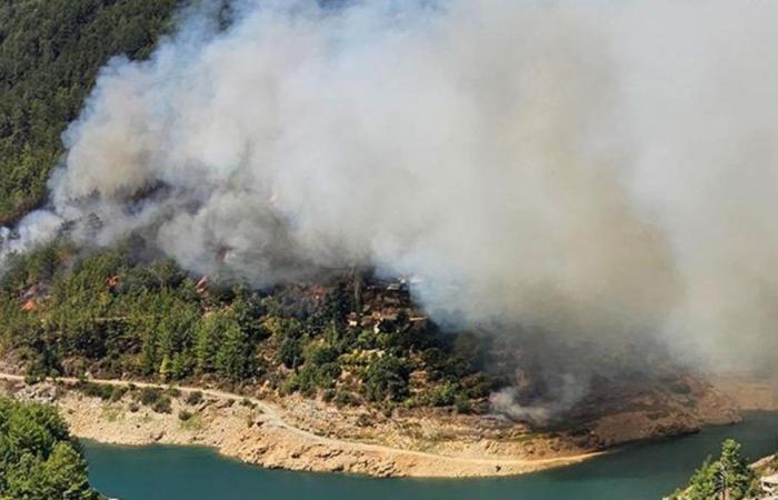 Forest fire in Alanya district of Antalya